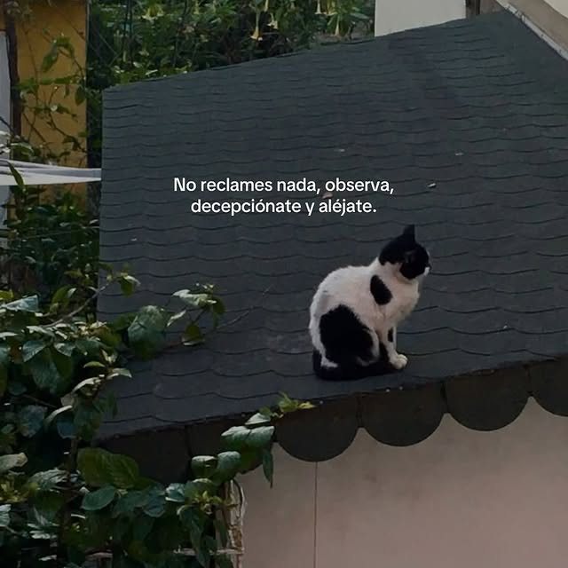  ......epicos   'recent posts' 