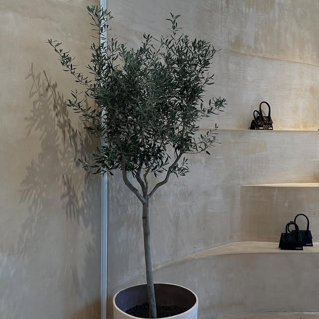  .....woodx   'recent posts' 