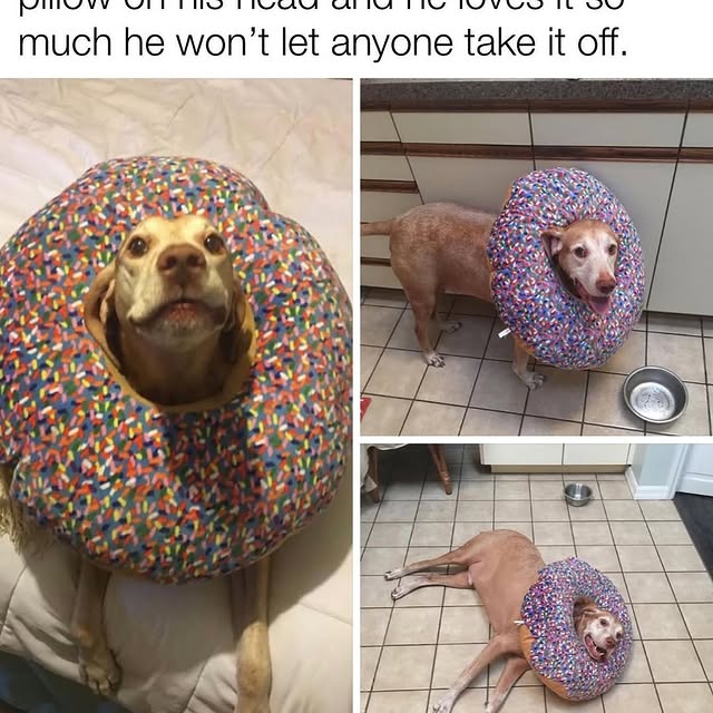  .......ndrulzz   'recent posts' 