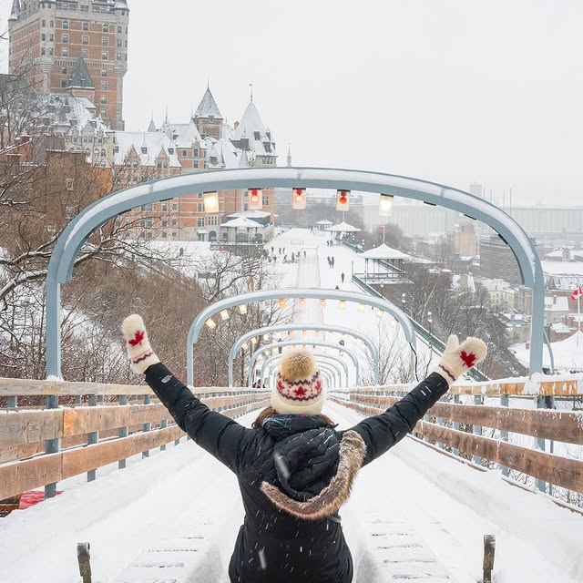  ......dchichi   'recent posts' 