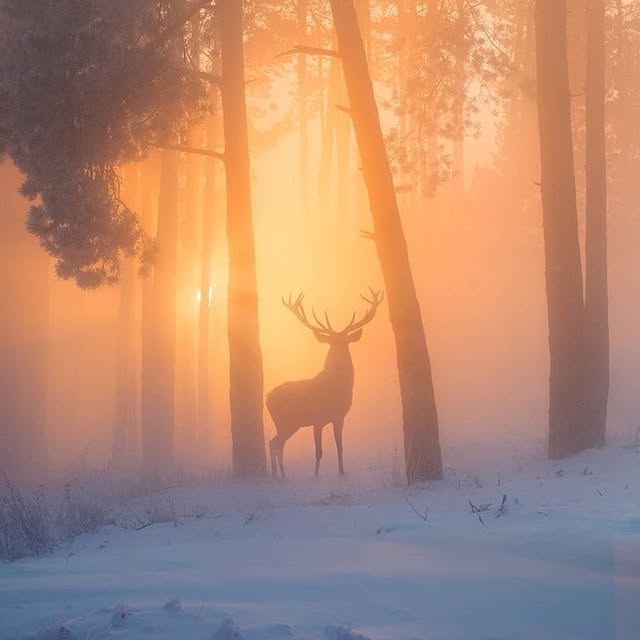  ......fervor   'recent posts' 