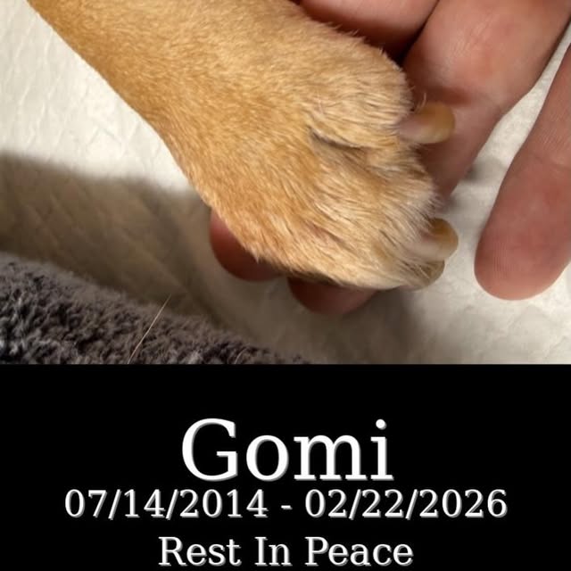  .......frenchie   'recent posts' 