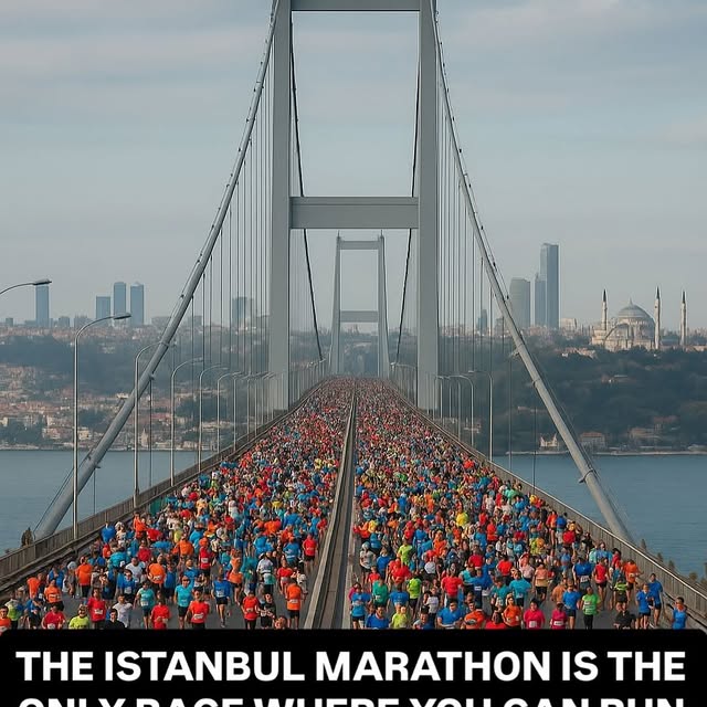  ......gfervor   'recent posts' 