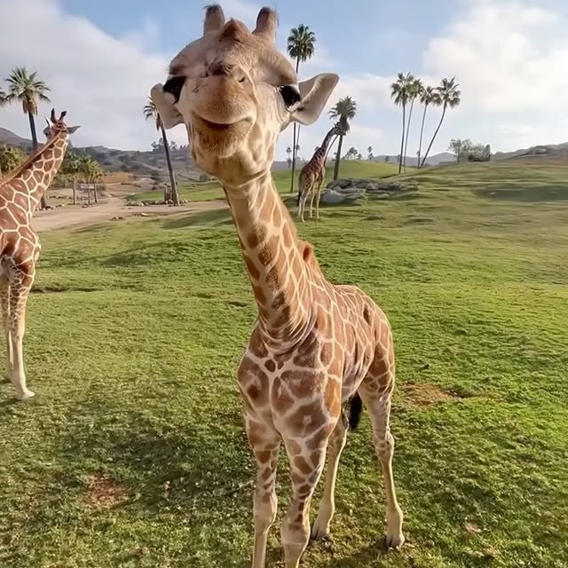  ...urre   'recent posts' 