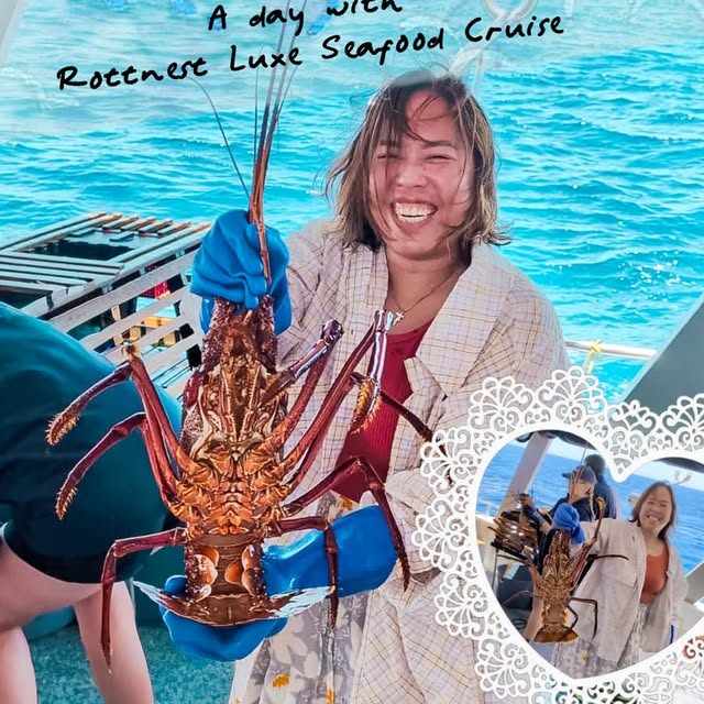  ....ology   'recent posts' 