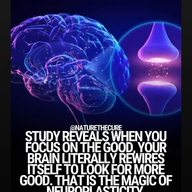  .....lvibee   'recent posts' 