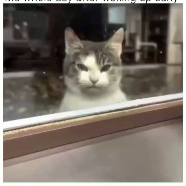  .....li9ht   'recent posts' 