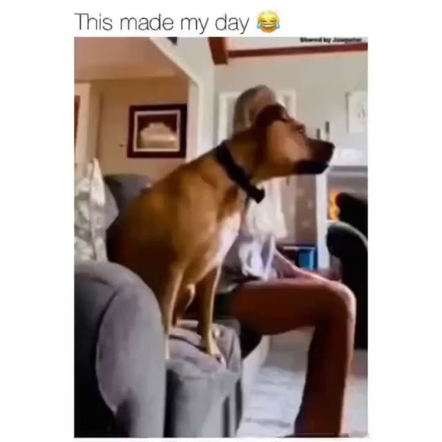  ......alking   'recent posts' 