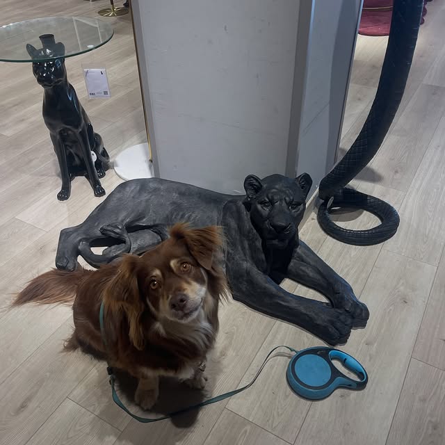  .....og2020   'recent posts' 