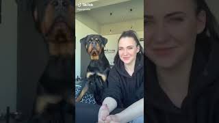  .......ler Life  'recent videos' 