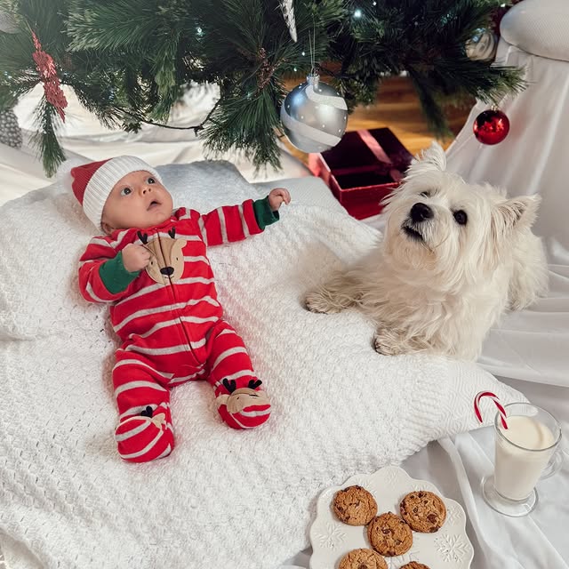  .....itcase   'recent posts' 