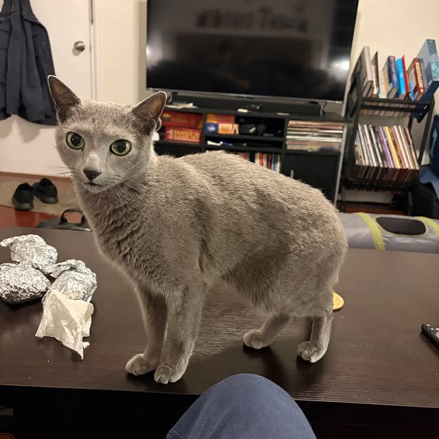  ......n_boris   'recent posts' 