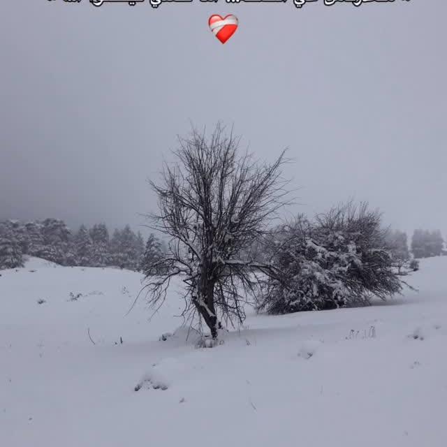  ......my_city   'recent posts' 