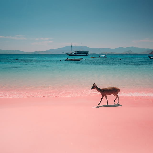  .....horpe   'recent posts' 