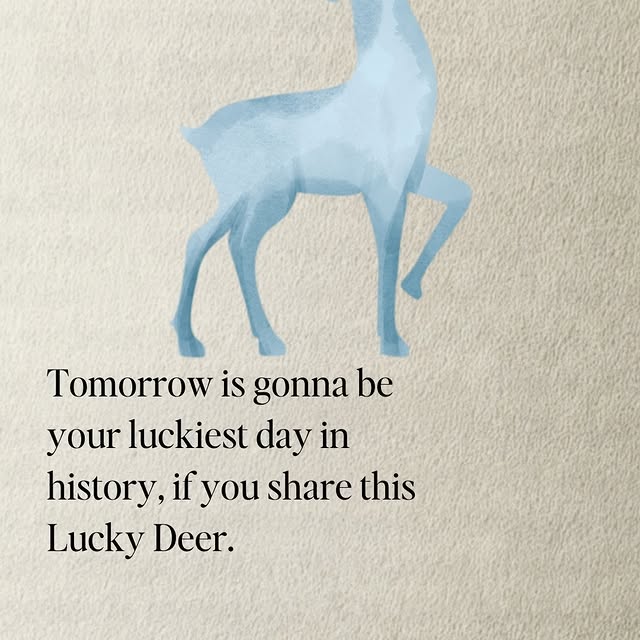  .....twano   'recent posts' 