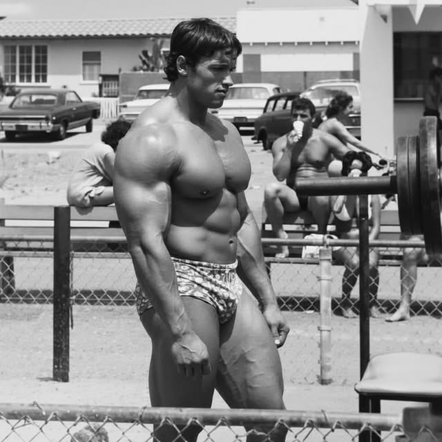  .......arepics   'recent posts' 