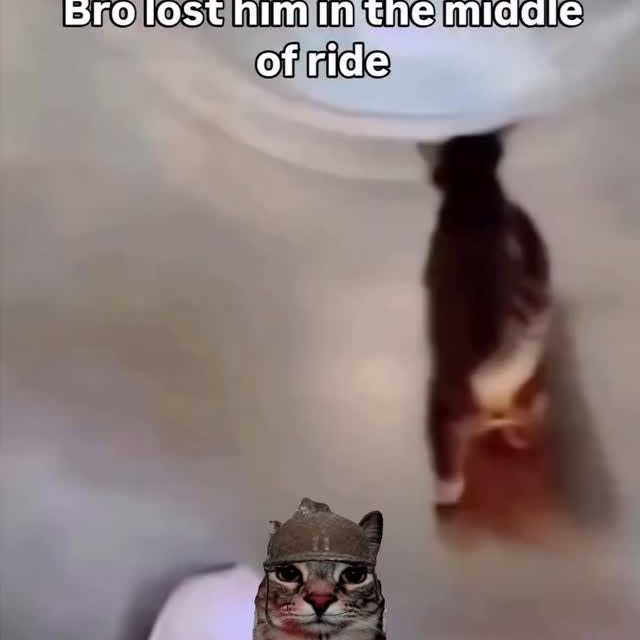  ....eowsy   'recent posts' 