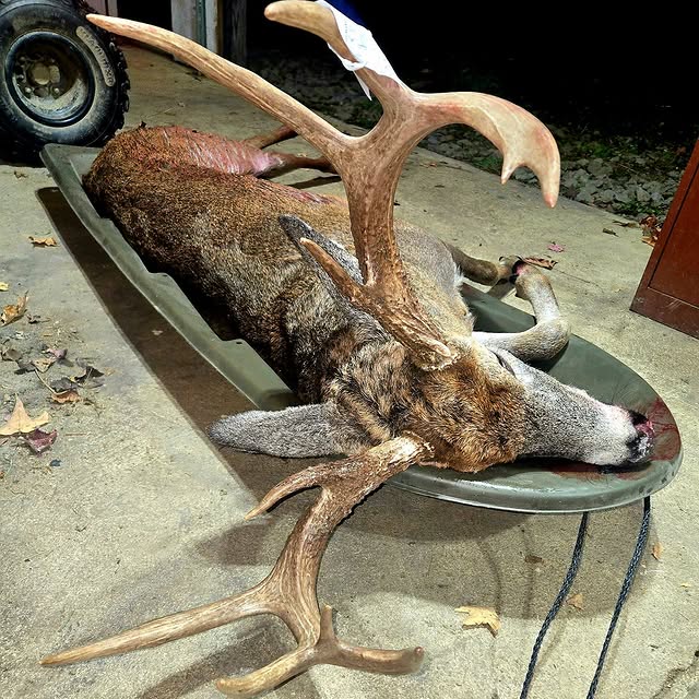  .........jeepher   'recent posts' 