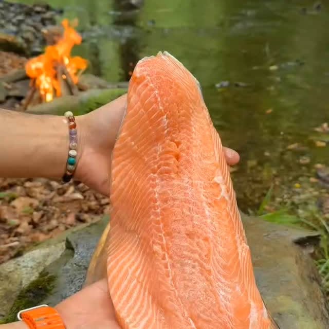  ......zafar   'recent posts' 