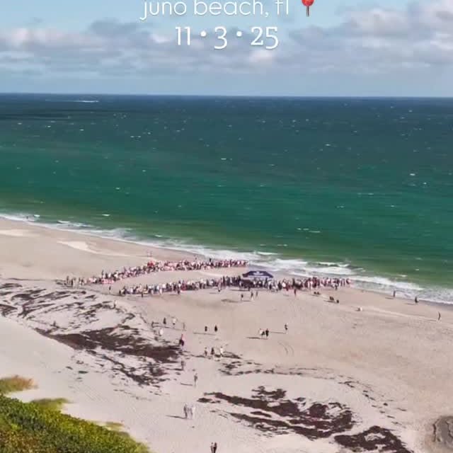  .....lorida   'recent posts' 