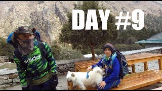  .......he Jones  'recent videos' 