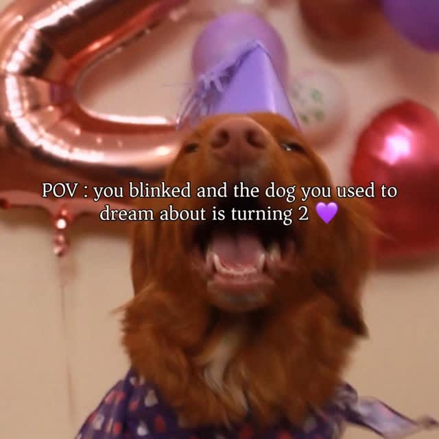  ......atoller   'recent posts' 