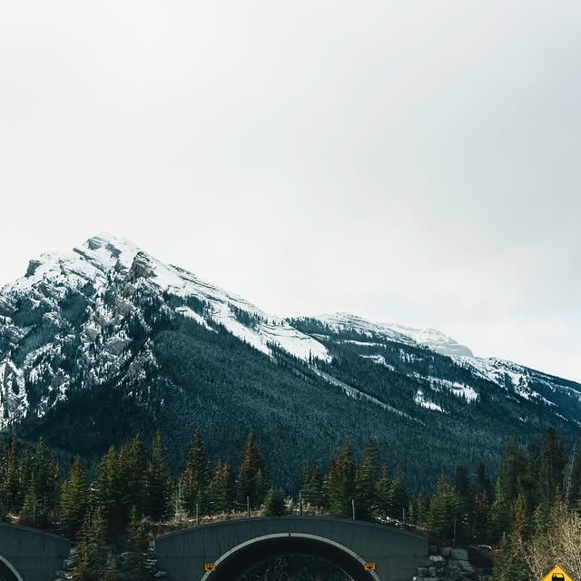  .......dventure   'recent posts' 