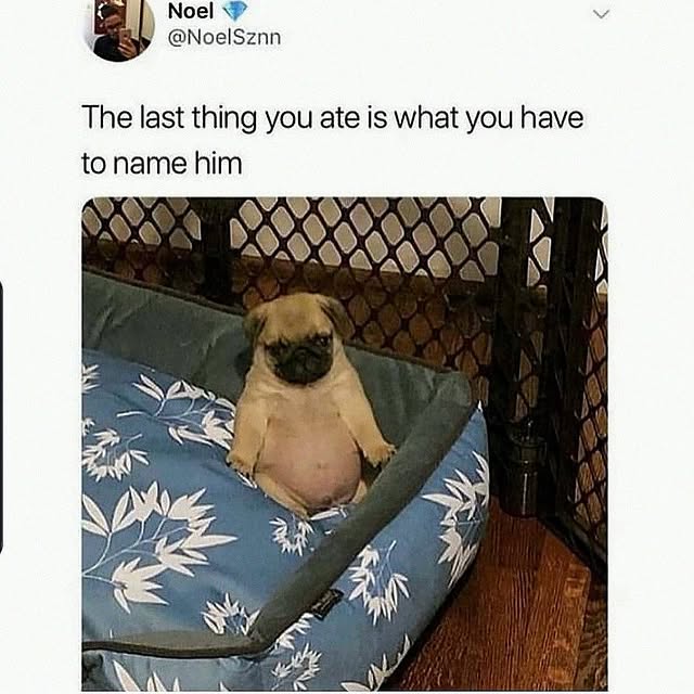  ......orable   'recent posts' 