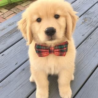 Hire ......ers4u_ influencer with 126.8k