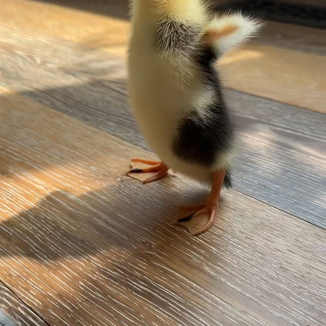  ........ckstatue   'recent posts' 