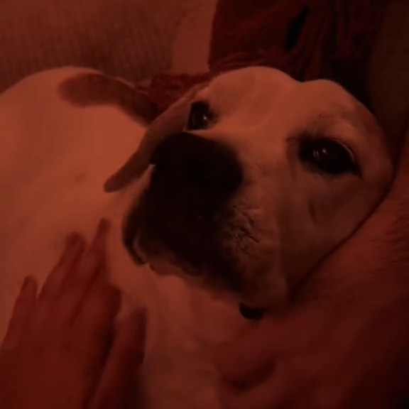  .....sland   'recent posts' 