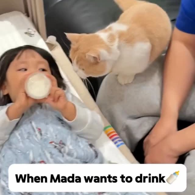  .......skittens   'recent posts' 