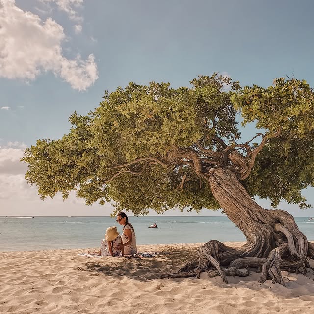  ........ettravel   'recent posts' 