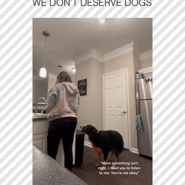  ......rposts   'recent posts' 