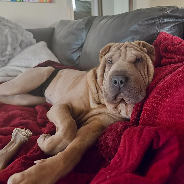  ......i.world   'recent posts' 