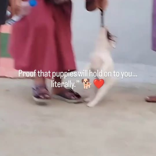  ......psworld   'recent posts' 