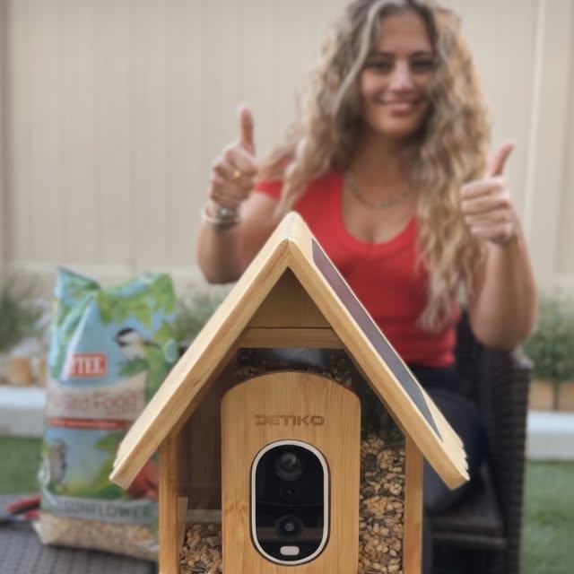  .....pinar   'recent posts' 