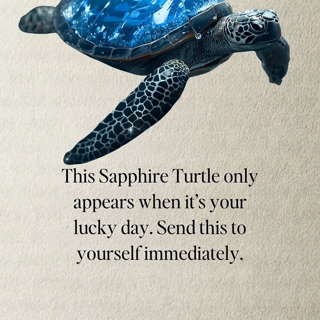  .....twano   'recent posts' 