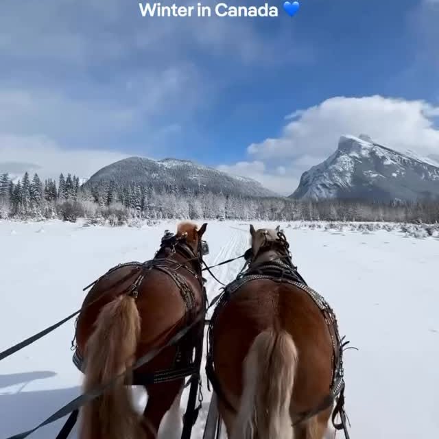  ......aveling   'recent posts' 