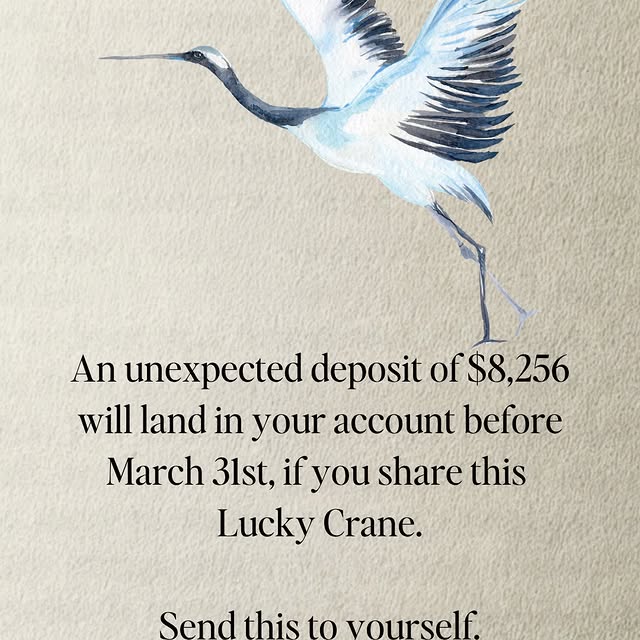  .....twano   'recent posts' 