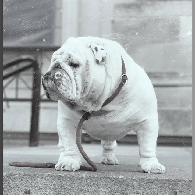  ......rwhite   'recent posts' 