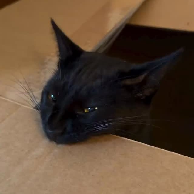  ........unlocked   'recent posts' 