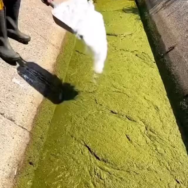  .........onanimals   'recent posts' 