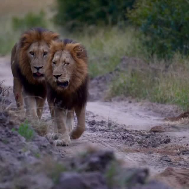  .........._sightings   'recent posts' 