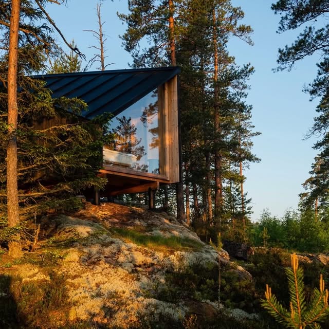  .......sespics   'recent posts' 