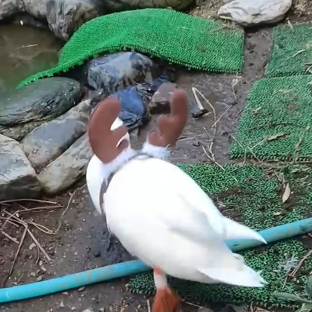  ........ckstatue   'recent posts' 