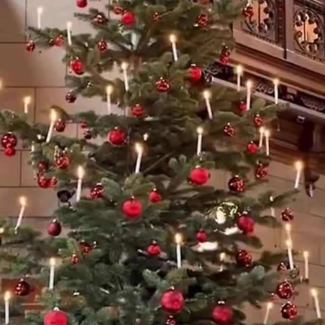  ....vita   'recent posts' 