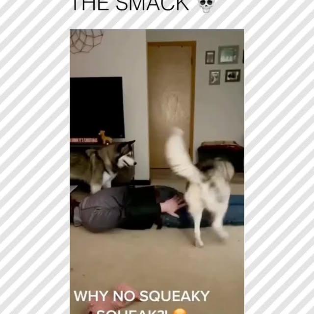  ......rposts   'recent posts' 