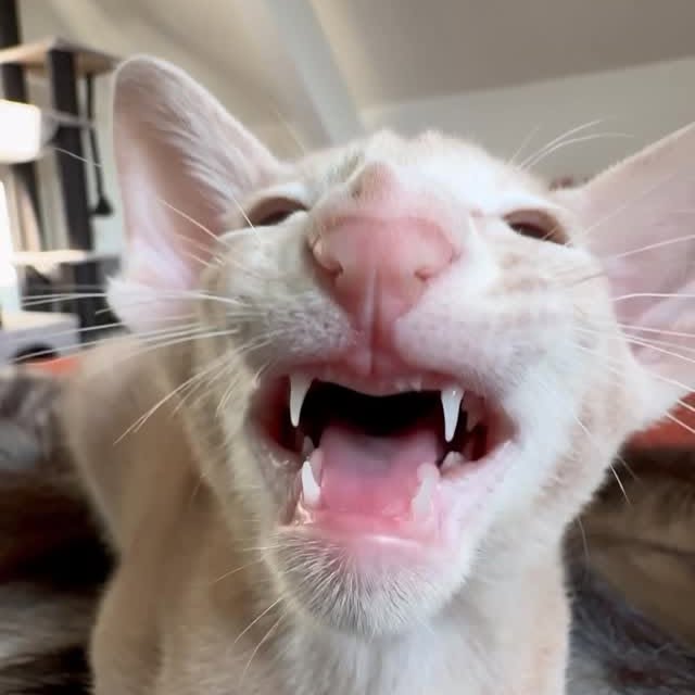  ......kekkek   'recent posts' 