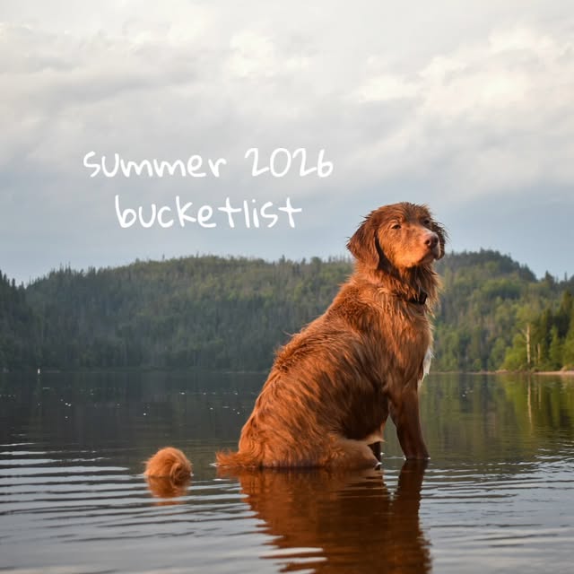  ......atoller   'recent posts' 